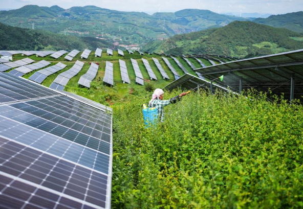 48 Solar Streetlights Illuminate Chong'an Middle School in Huangping County 48 Solar Streetlights Illuminate Chong'an Middle School in Huangping County